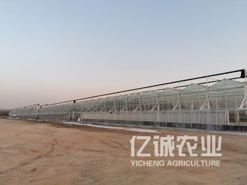 溫室大棚 溫室大棚