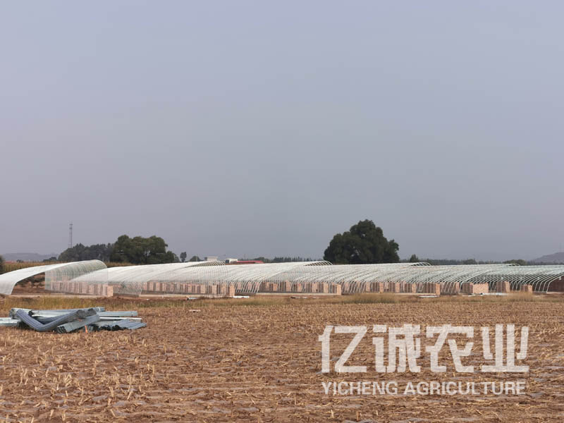 溫室大棚建設(shè)