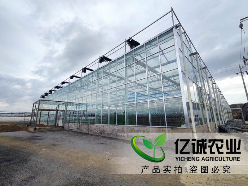 連棟溫室大棚 連棟溫室大棚