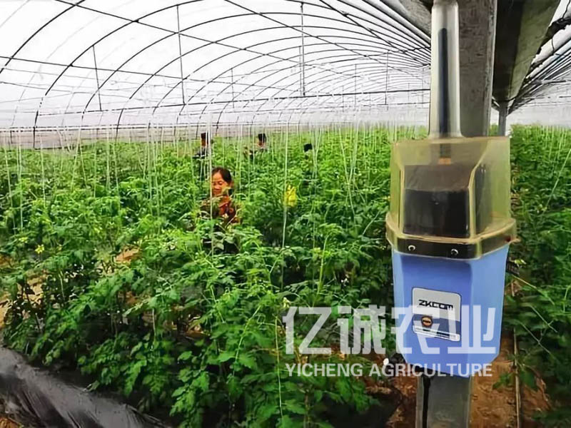 智慧農業(yè)溫室