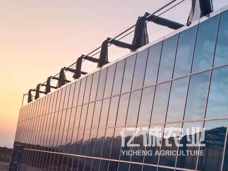 陽光板溫室