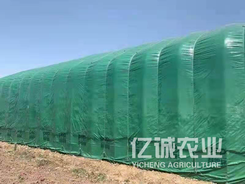 養(yǎng)殖溫室大棚