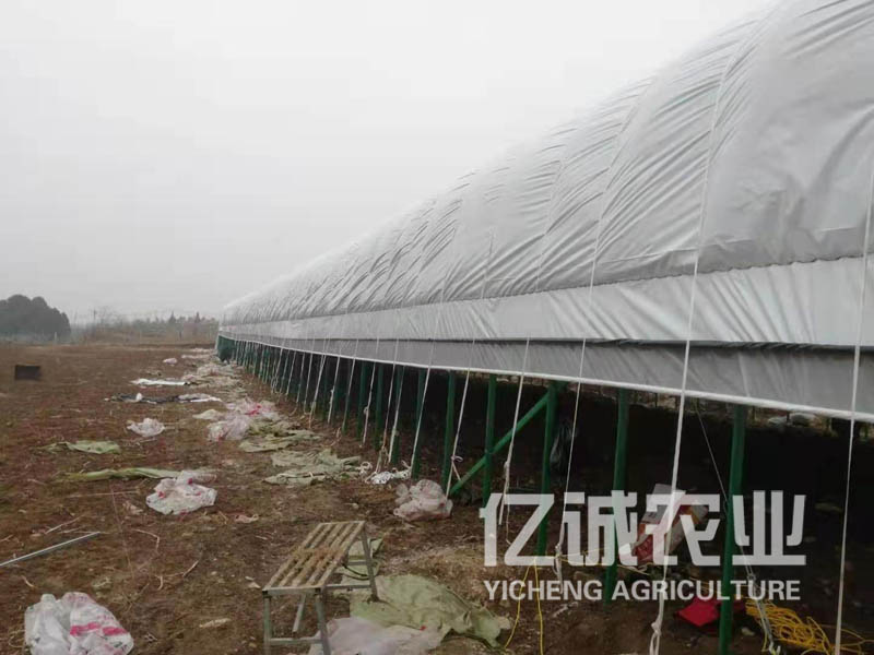 養(yǎng)殖大棚廠家