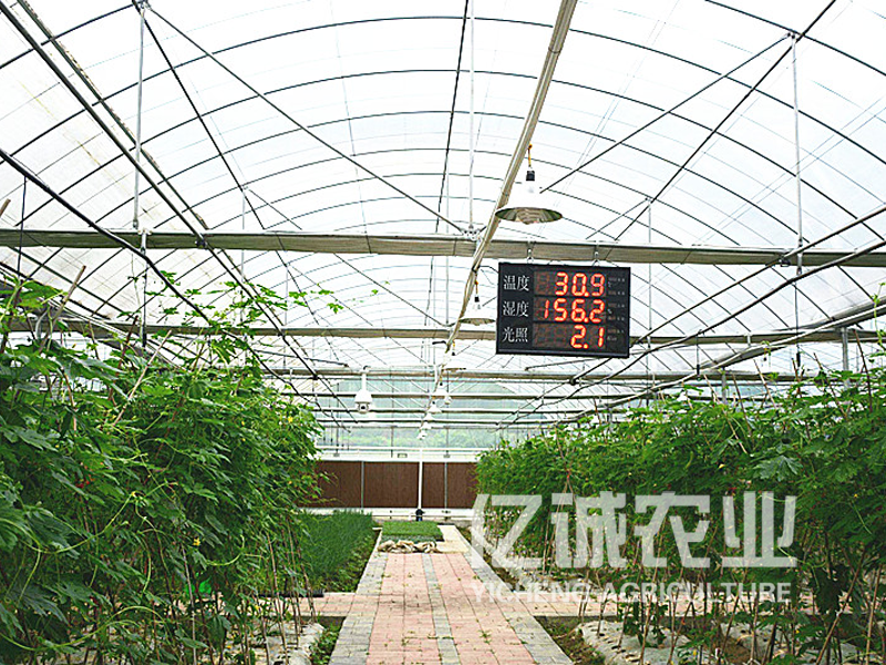 智慧農業(yè)大棚