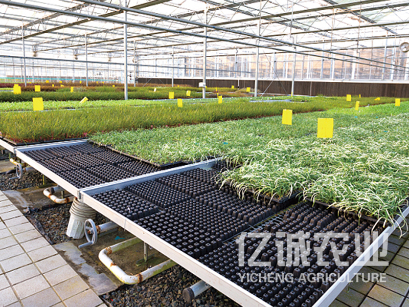 智慧農業(yè)公司大棚建造