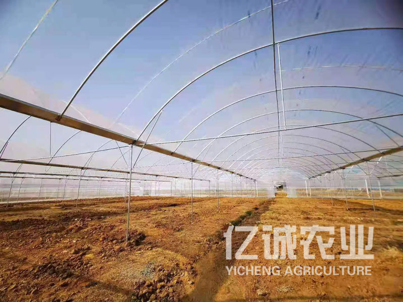 現(xiàn)代農(nóng)業(yè)溫室大棚