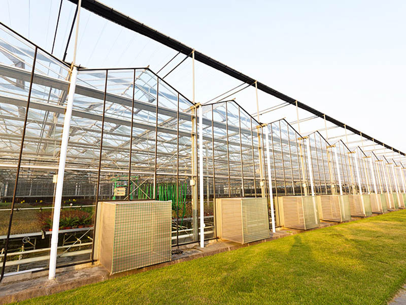 連棟玻璃溫室大棚建造