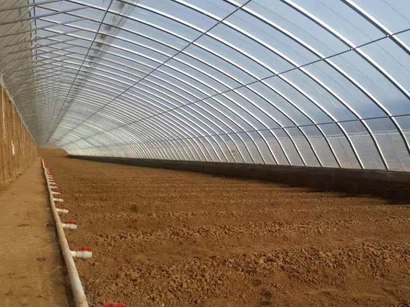 薄膜連棟溫室大棚造價(jià)