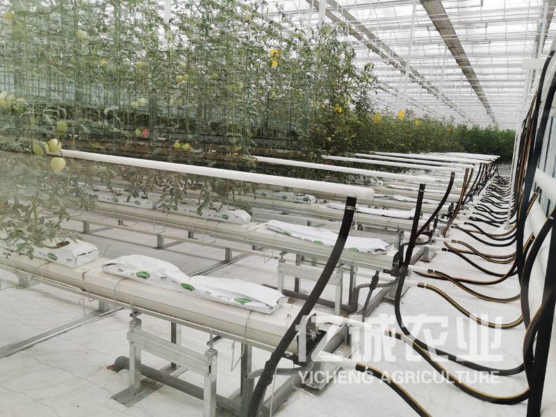 無土栽培溫室大棚建設