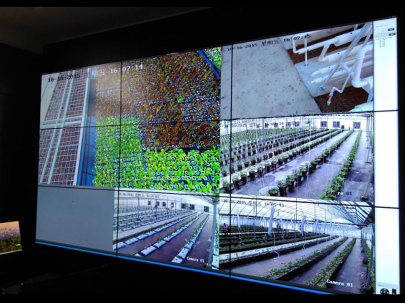 溫室大棚智能控制系統(tǒng)
