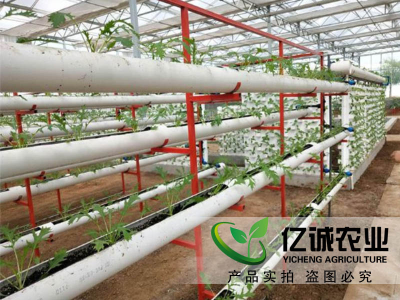 立體無土栽培溫室大棚