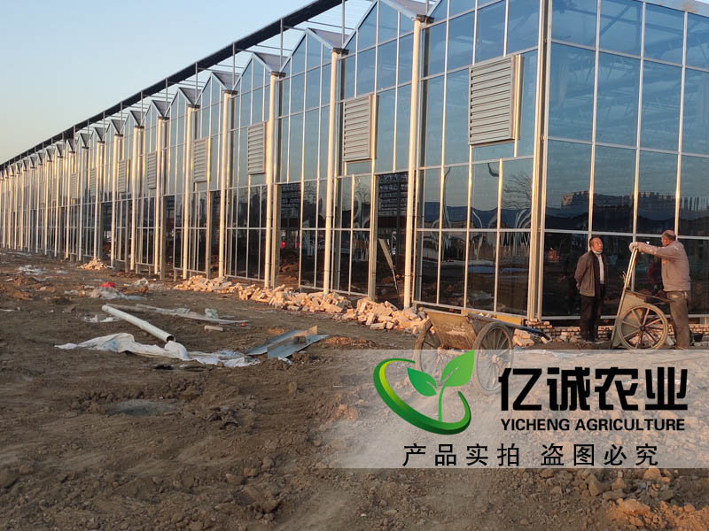 玻璃溫室大棚建設(shè)